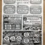 IMG_7298-1.jpeg